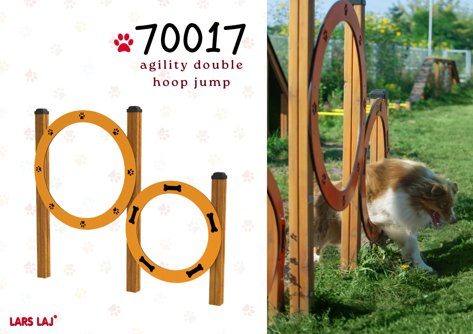 dog agility hoops