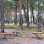 Wooden Balance Board játék a játszótéren fából és fém rugókon, erdei környezetben.